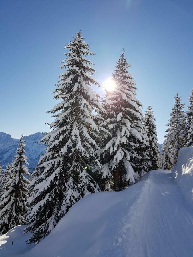 Gaestehaus Dorer Gerhard Prägraten Exteriér fotografie